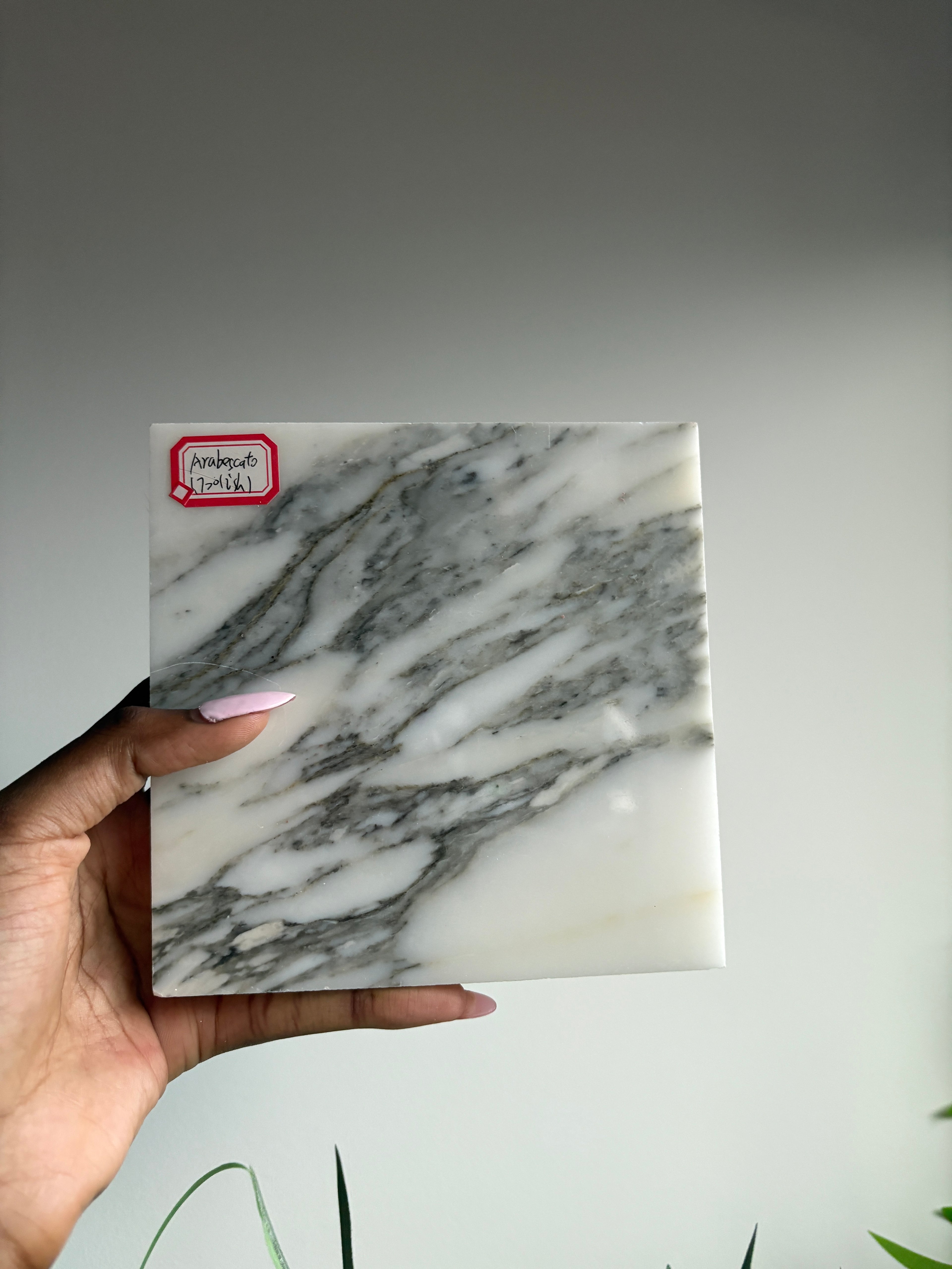 Mayze Premium Arbesscatto Marble
